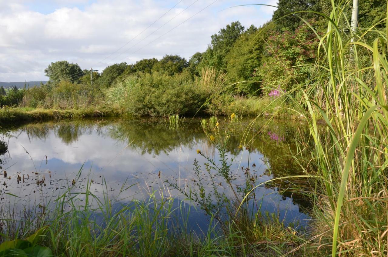 Natur pur Bed & Breakfast Neustadt  Bagian luar foto